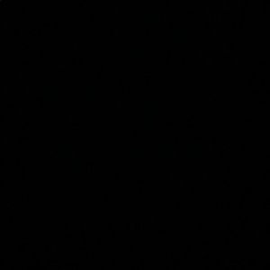 Meet your Posher, Cece